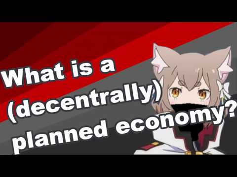 What is a (de-central) planned economy? | Ideology explained