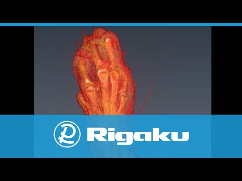 Product video thumbnail image