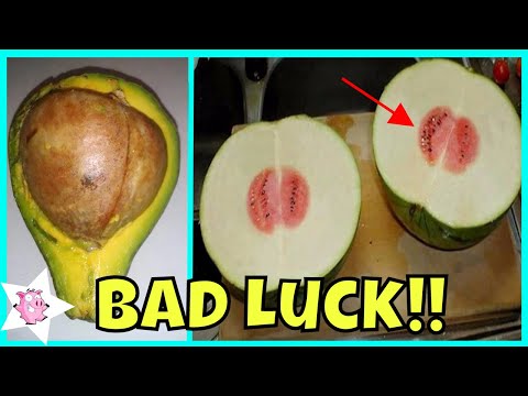 Times People Absolutely Lost The Food Lottery Video