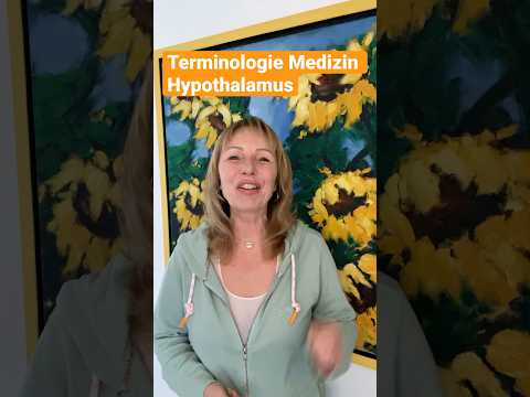 Was ist der Hypothalamus?