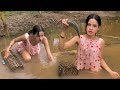 Survival Skills Catch Fish In The Lake