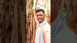 Download lagu ढोला मारू का गौना ओमप्रकाश भैया #music #omprakashbhaiya mp3 Download lagu ढोला मारू का गौना ओमप्रकाश भैया #music #omprakashbhaiya mp3