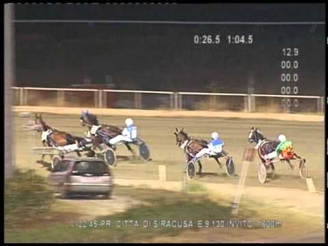 Trotto corse del 13 Agosto 2014