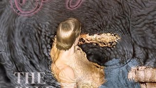 Beverly- Bulldozer