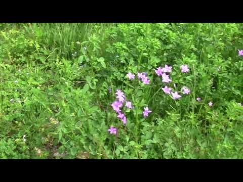 Jarków & Lewin Kłodzki - Malowniczy Dolny Śląsk