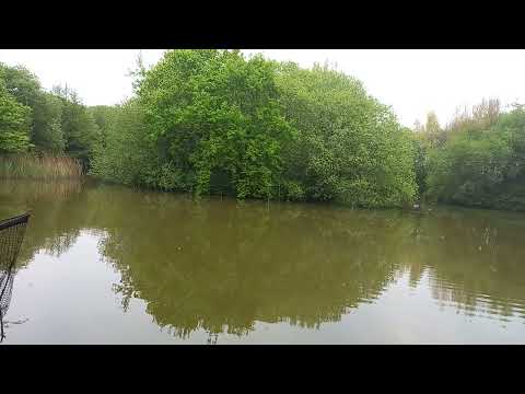 Everton Grange - 03/05/22