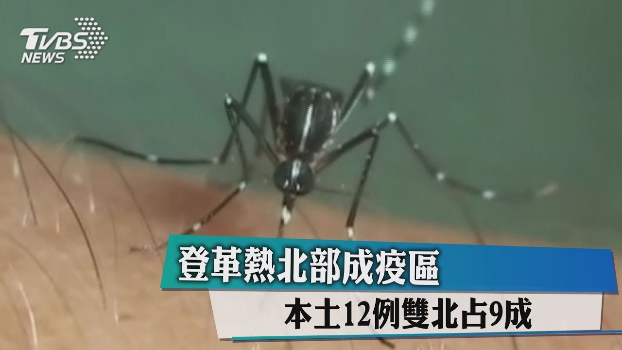 雙北登革熱疫情擴大 暖化造成的?!