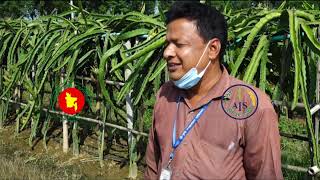 গোদাগাড়ীর ড্রাগন চাষ নিয়ে বিটিভির প্রামাণ্য অনুষ্ঠান