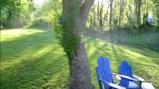 THE RED BIRD STATION by gary brumley