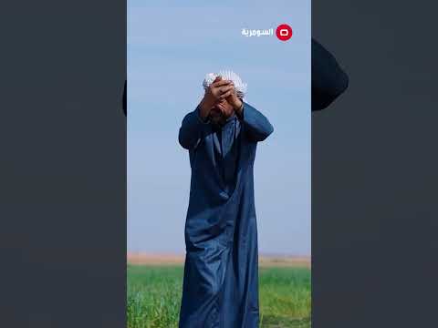 شاهد بالفيديو.. جلسة غنائية ممتعة في مدينة الطيب العراقية #العراق #shorts