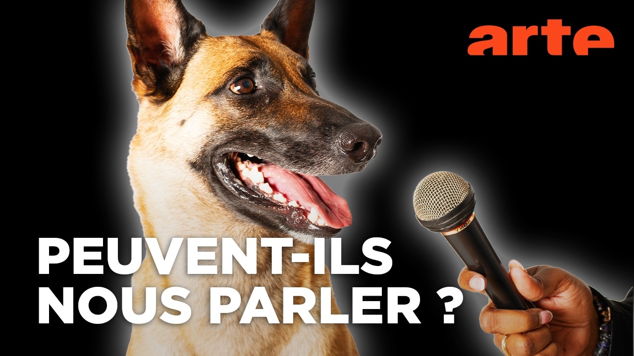 Les chiens peuvent-ils parler ? | Documentaire | ARTE
