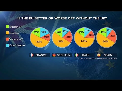 Europa, wie gehts nach dem Brexit? Die euronews-Umfrage