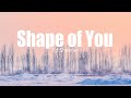 Ed Sheeran - Shape of You (lyrics)