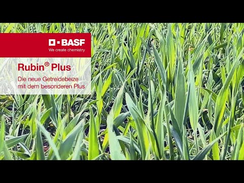 BASF – Rubin® Plus – Die neue Getreidebeize mit dem besonderen Plus