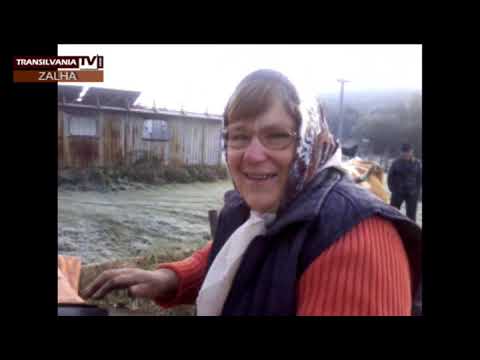 ZALHA-SJ (2013) - Zi de târg