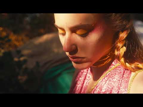 SONIA DELAUNAY - FIAPPII (videoclip de Arnicloq)