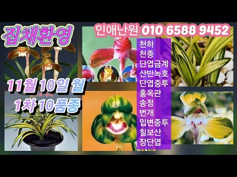 유튜브 썸네일