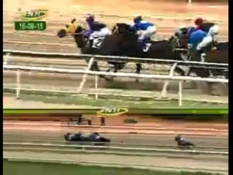 LA RINCONADA 6 CARRERA, DOMINGO 16 DE AGOSTO DEL 2015