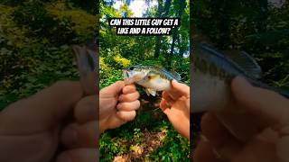 CAN HE? #fishing #bassfishing #creekfishing #diawa #jesus #wacky #wackyrig