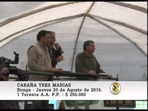20-08-15 Venta de Terneras P.P. - Cabaña Tres Marias - Bunge.