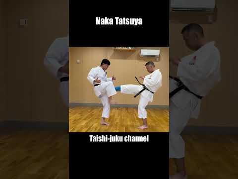 Mikazuki-geri 三日月蹴り