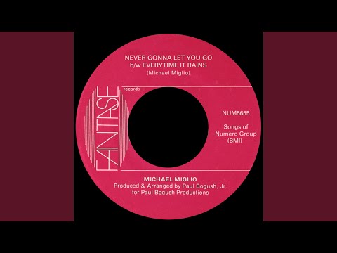 Never Gonna Let You Go