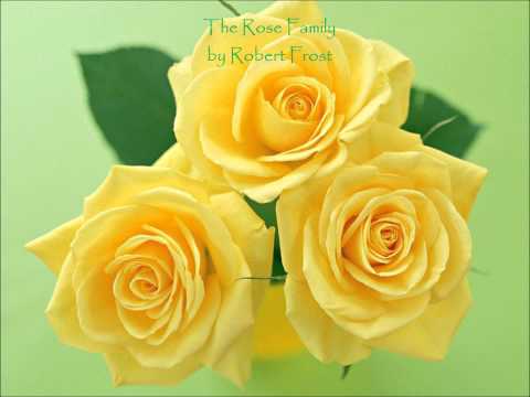 The Rose Family by Robert Frost