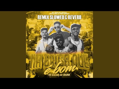 Na Brisa Que é Bom VS Cheiro do Skunk (Slowed & Reverb)