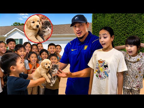 ПОДПИСЧИКТЕР БІЗГЕ КҮШІК ПЕН МЫСЫҚ ПОДАРИТЬ ЕТТІ🐶🐱 