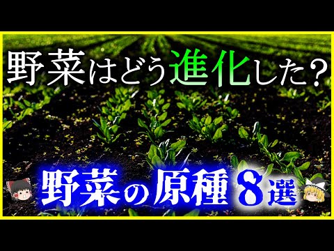 デュロックについて詳しく解説