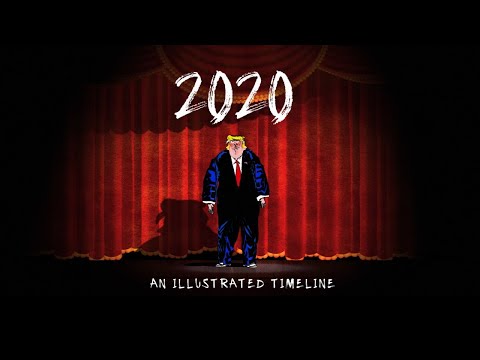 2020: An Illustrated Timeline