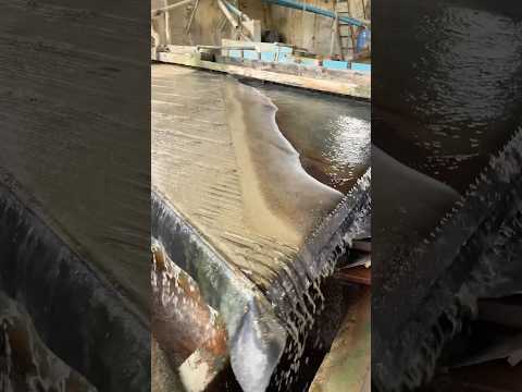 Processo de separação do mineral Scheelita - Mina Brejuí, Rio Grande do Norte, Brasil.