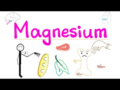 Your body needs Magnesium - Symptoms of Magnesium Deficiency & Excess - Diet & Nutrition Series