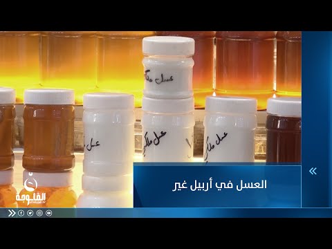 شاهد بالفيديو.. العسل في أربيل غير | حوار مع متخصص في العسل من أربيل