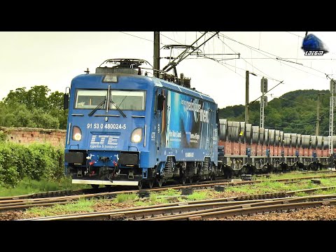 LEMA 480 024-5 & Tren de Marfă LTE cu Role de Tablă în Gara Salva - 04 Iulie 2024