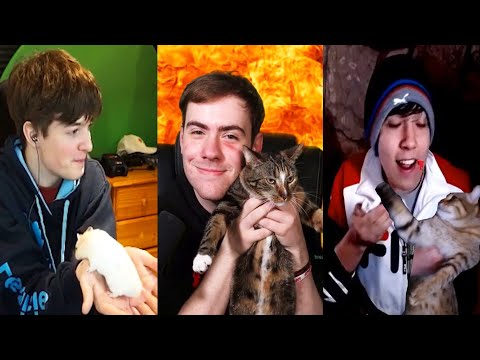 DREAM SMP MEMBERS AND THEIR PETS