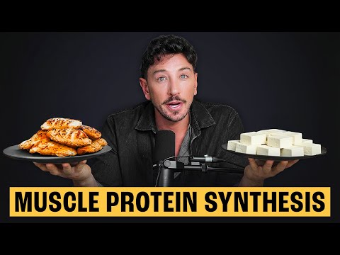 Does source matter or amount? Muscle protein synthesis on vegan vs omnivore diets | The Proof EP#390