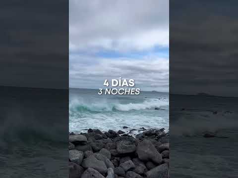 Participa y Gana un viaje a Galápagos 🐢