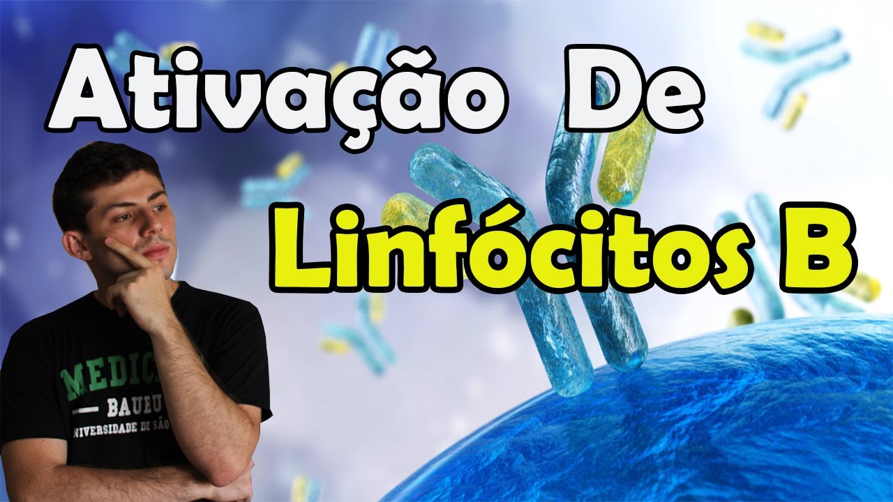 Ativação de Linfócitos B