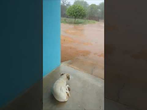 Chuva em Simplício Mendes-PI 03/01/26