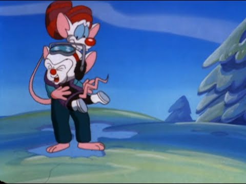 the brain being a softy for 28 more minutes (part two)