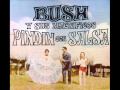 BUSH Y SUS MAGNIFICOS - COMPASION