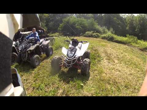 Gradišćani u Lipovljanima