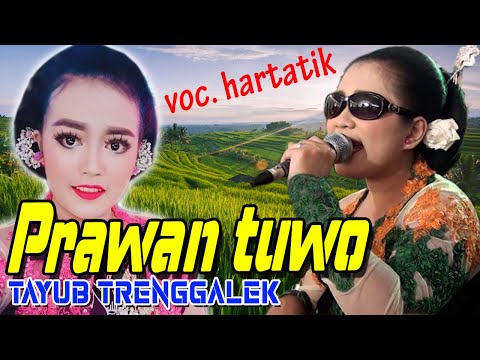 TAYUB  PRAWAN TUO VOC. HARTATIK GLEER TRI TUNGGAL SALAMWATES DONGKO TRENGGALEK