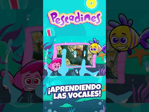 Uva, Universo