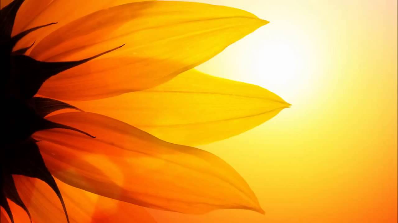 Assisting in Your Own Healing by Louise Hay