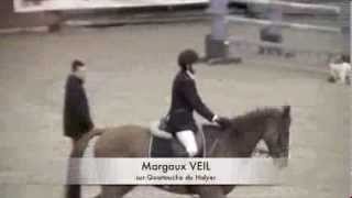 preview picture of video 'Concours Equestre Ozoir le Dimanche 15 Décembre 2013'