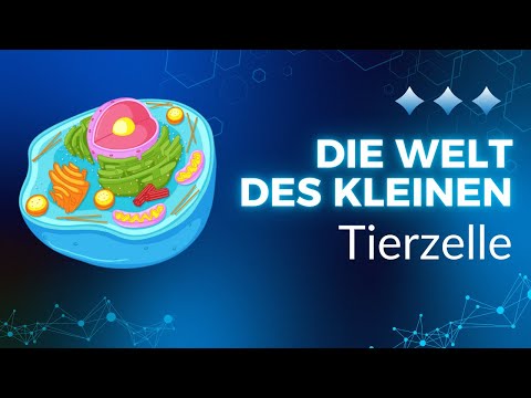 Die tierische Zelle 🐾🔬 I   NaWi leicht erklärt