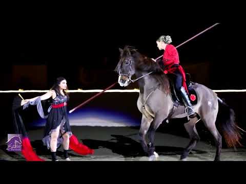 Experience the Magic of Fantasia