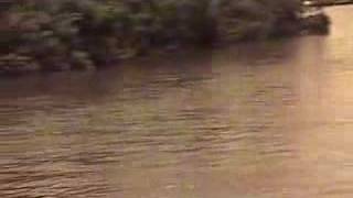 Walking Alone Original